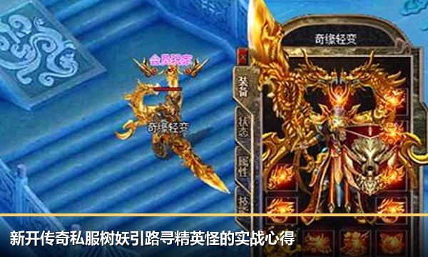 新开传奇私服树妖引路寻精英怪的实战心得 新开传奇私服树妖引路寻精英怪的实战心得