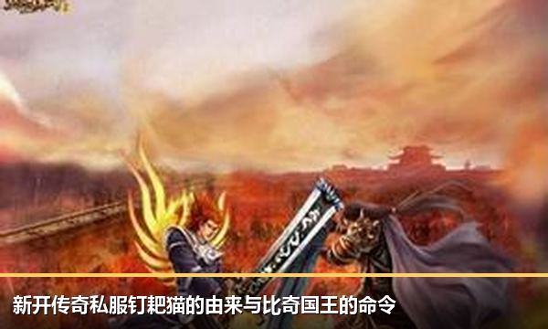 新开传奇私服钉耙猫的由来与比奇国王的命令 新开传奇私服钉耙猫的由来与比奇国王的命令